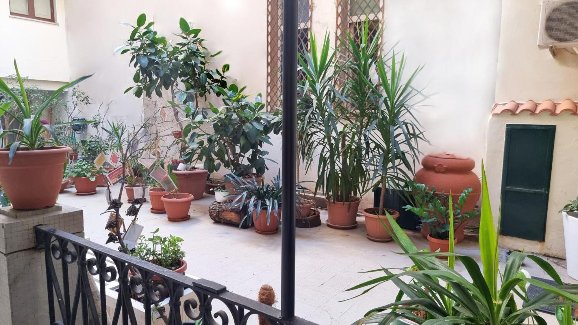 Loft Magna Grecia Reggio Calabria Centro Storico A 3 Minuti A Piedi Dal Mare 아파트 외부 사진